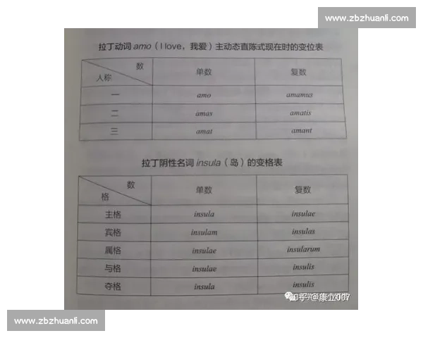 以比赛的英文race发音为中心探讨其词源与语言演变过程